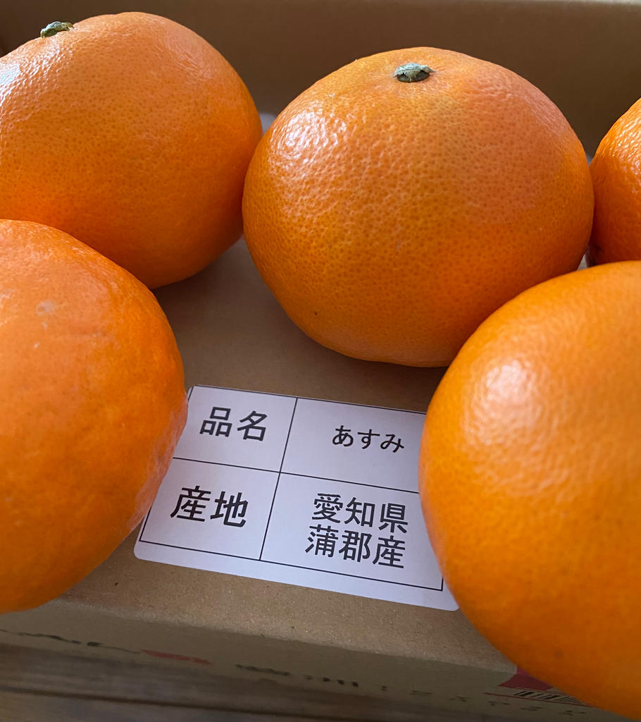 JA蒲郡市『あすみ』愛知県産 柑橘 S〜L 約2.5kg 簡易箱 ※常温｜豊洲