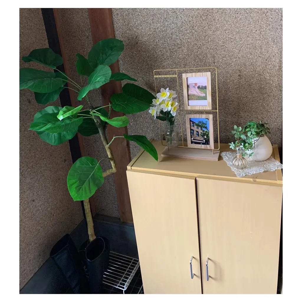 ウンベラータ 1cm 通販 ニトリネット 公式 家具 インテリア通販 ウンベラータ 1cm 通販 ニトリネット 公式 家具 インテリア通販