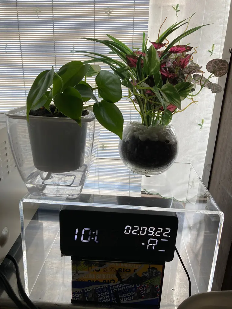 再販ガラスポットフェイクグリーン寄せ植え風アレンジa▫️フェイク多肉植物 観葉植物 再販ガラスポットフェイクグリーン寄せ植え風アレンジa▫️フェイク