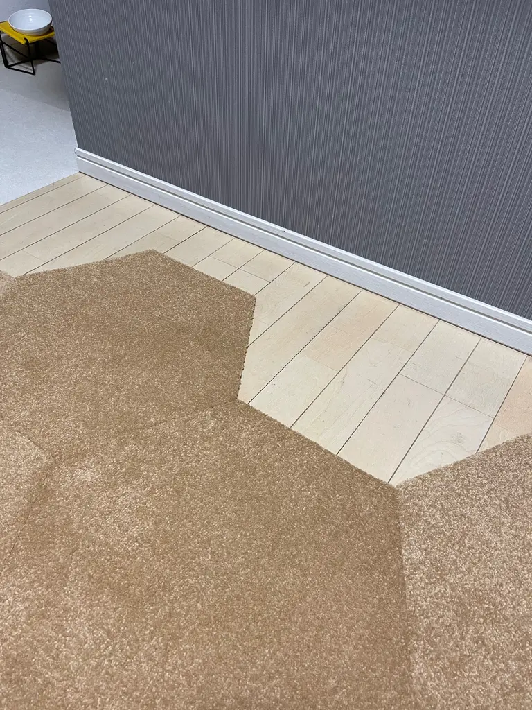 タイルカーペット おしゃれ ニトリネット 公式 家具 インテリア通販