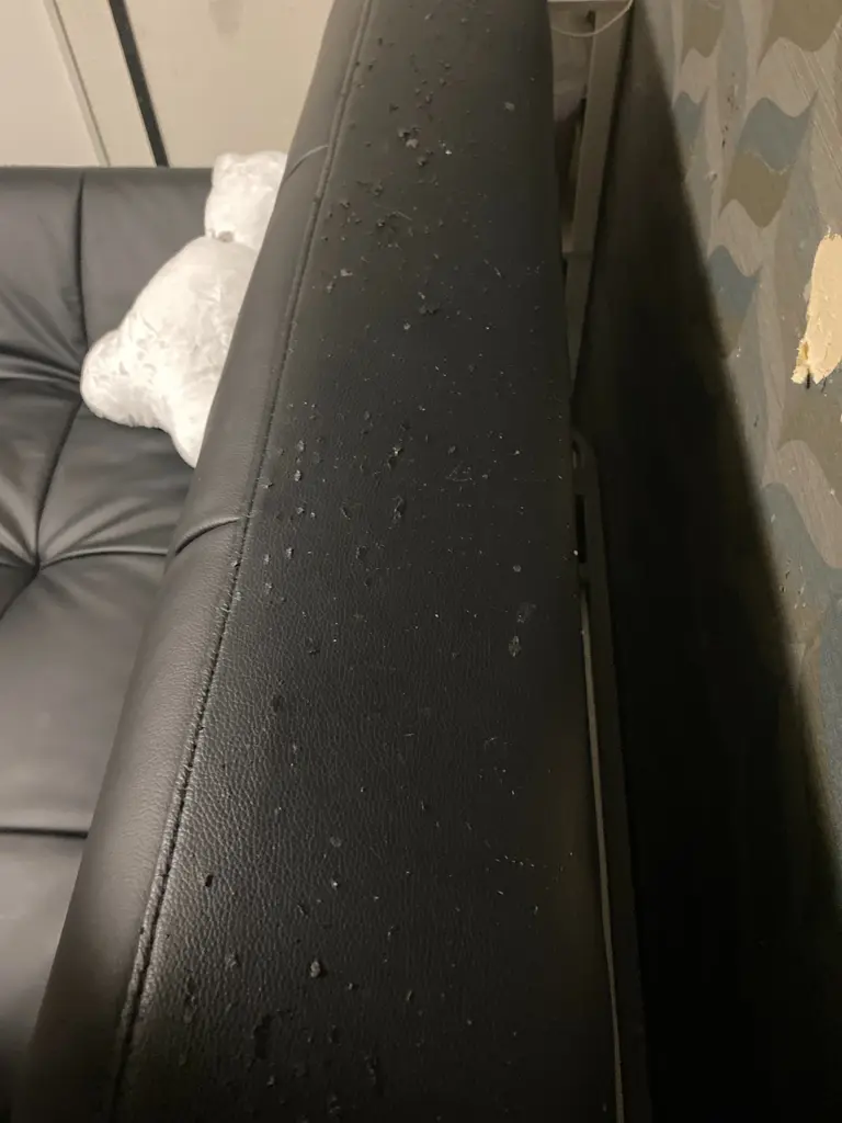 ソファー 合皮 ニトリネット 公式 家具 インテリア通販 6ページ目