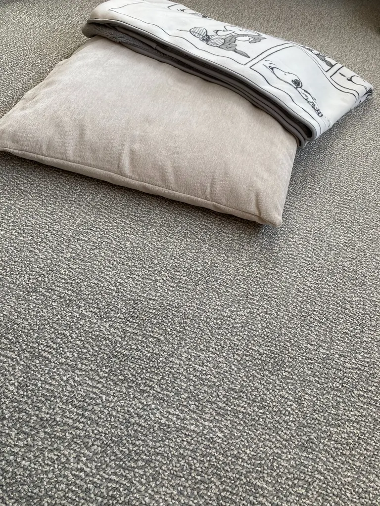 防音性に優れた防炎 抗菌カーペット シールド 通販 ニトリネット 公式 家具 インテリア通販