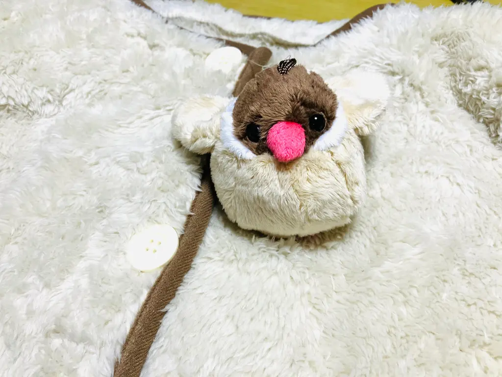 廃盤品 ニトリ Nウォーム あったかぬいぐるみ アライグマ[50cm