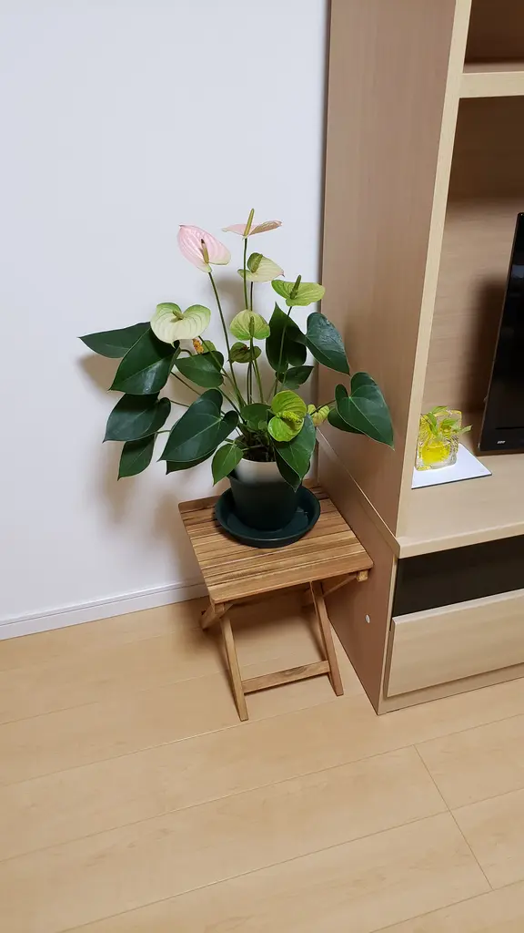 フラワースタンド 花台 おしゃれ ニトリネット 公式 家具 インテリア通販