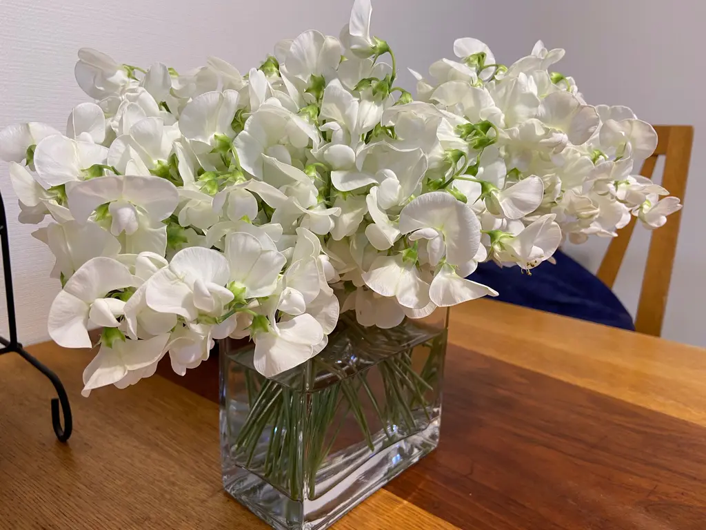 フラワーベース タンク cm 通販 ニトリネット 公式 家具 インテリア通販