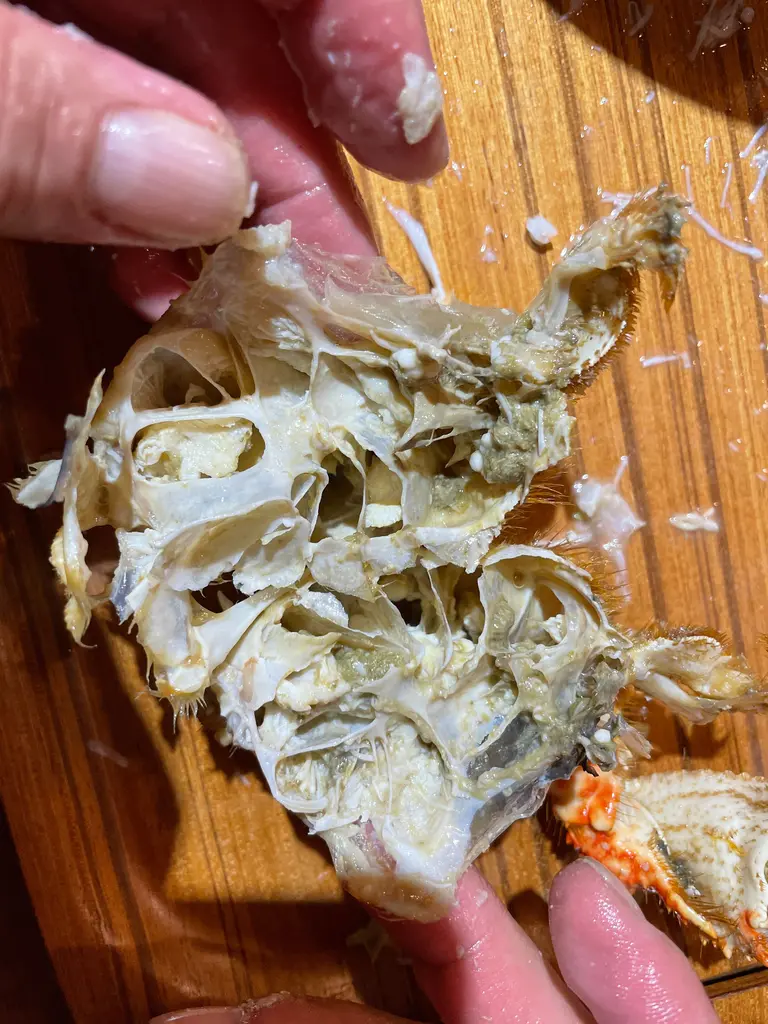 トゲクリガニ 桜蟹 青森県陸奥湾産 オス 約2kg 冷蔵 豊洲市場ドットコム